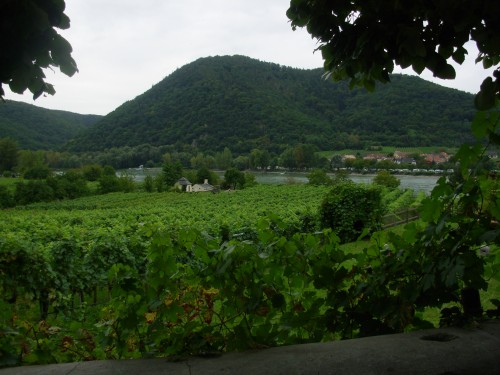 Durnstein Wine Country